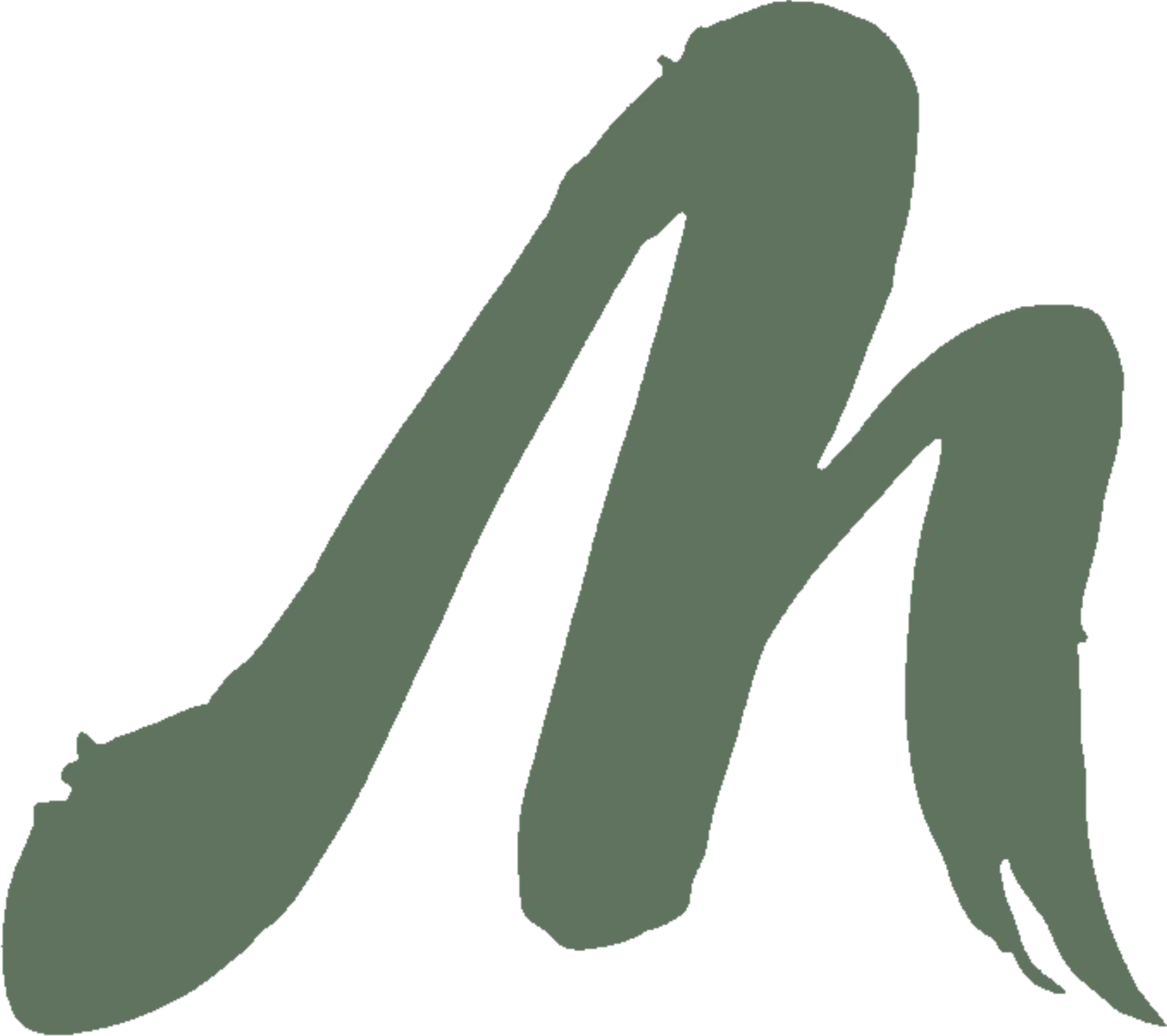 Me Thais Green Angel Logo Final